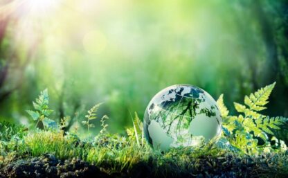 Globe On Moss In Forest - Environment Concept