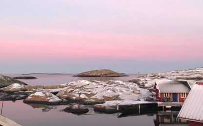 rosa-vinter