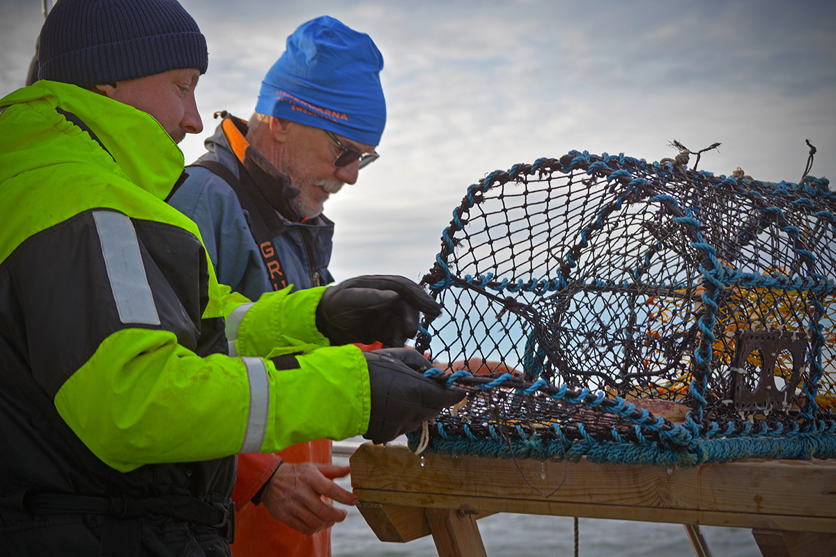 Hummerfiske Väderöarna
